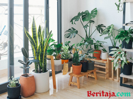 Green Boards Inspo: Creative Ways to Incorporate Green Boards into Your Space - Beritaja